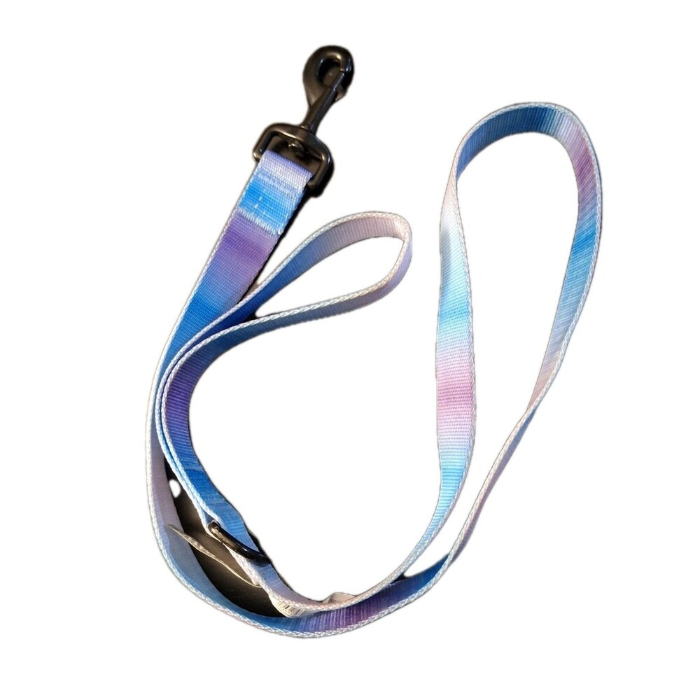 Top Paw Ombre Blue Purple Nylon Standard Dog Leash 4 Ft 1 Inch Wide